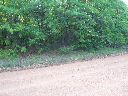 View Of Property