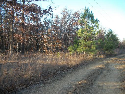 View Of Property