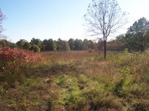 View Of Property