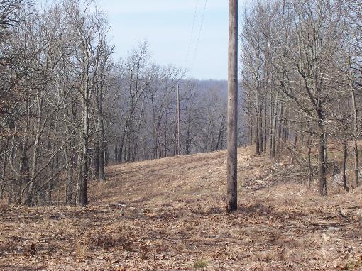 View Of Property