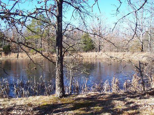 View Of Property