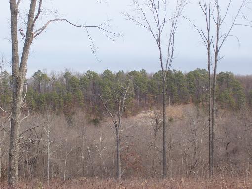 View Of Property