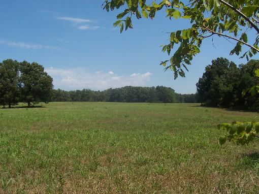 View Of Property