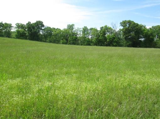 10.77 Acres In Williamson County, Tn!!