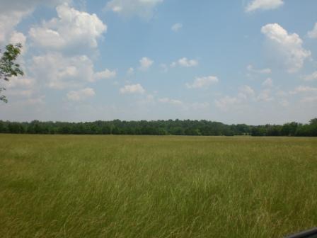 Great 50 Acres In Shelbyville, Tn!!