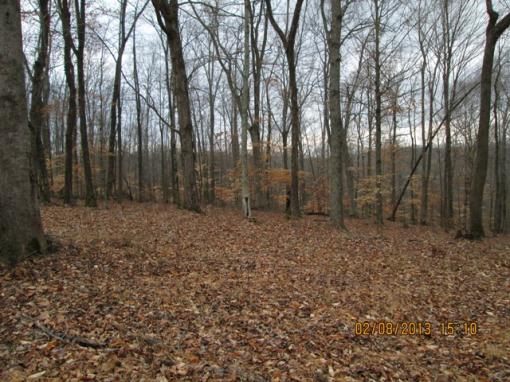 Beautiful Wooded Land!!