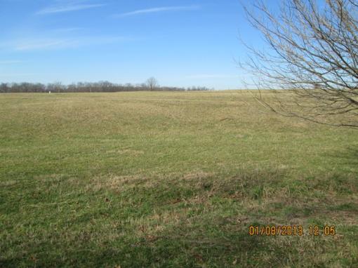 Level To Rolloing Open Pasture!