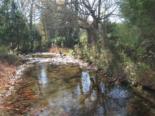 Nice Creek & Building Site!!!