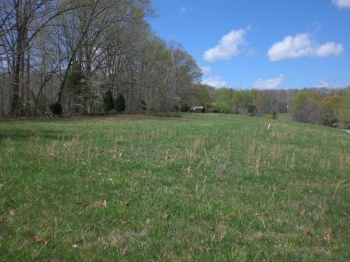 Half Pasture/half Woods