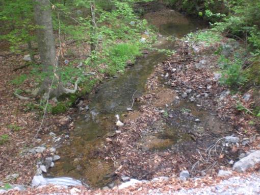 15 Acres In Franklin, Tn!!