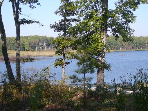 View Of Lake From Lot 1
