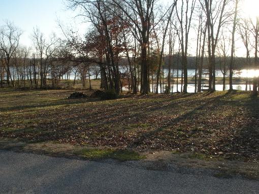Lot View