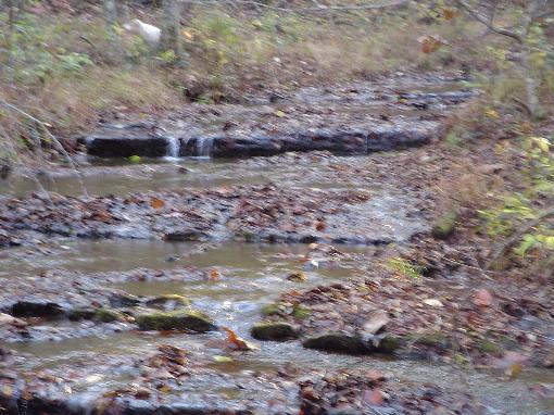 Rock Bottom Stream