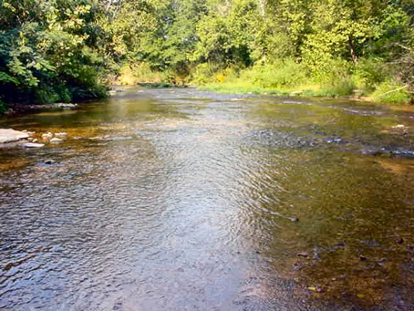 Partial View Of Green River