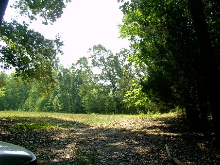 Backfield A