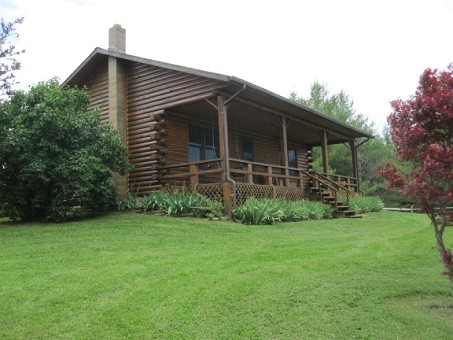 Main View