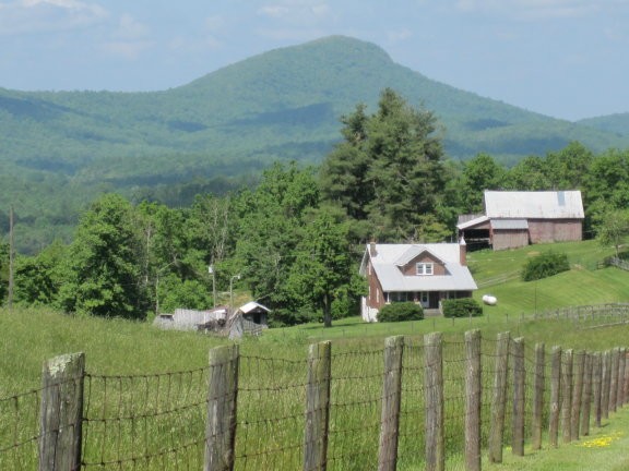 Main View