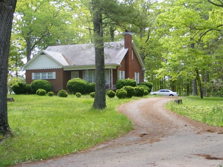 Main View