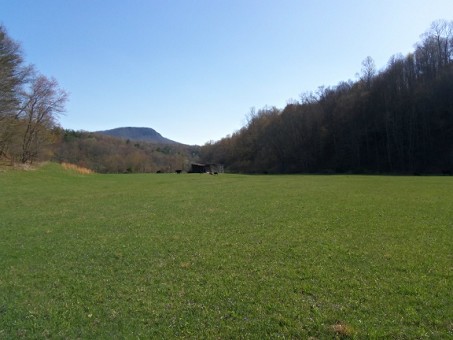Burks Fork Road, Willis, Virginia, 24380