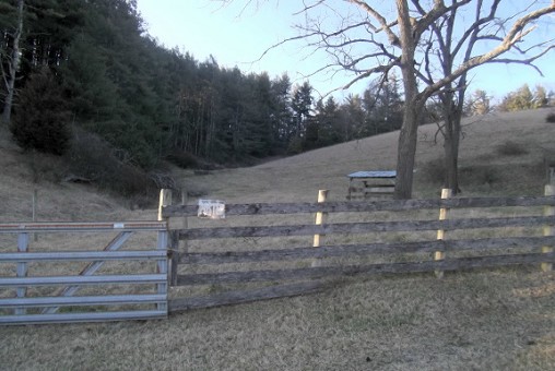 Main View