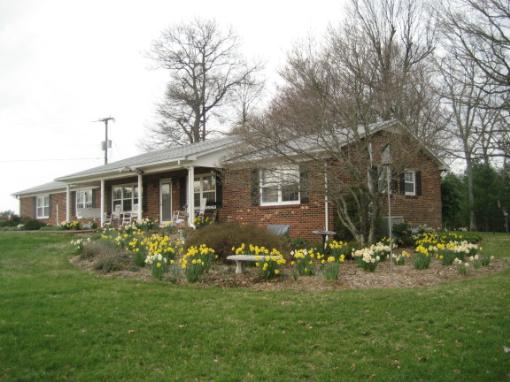 Main View