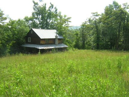 Main View