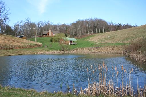 Log Home, Guest Cottage, Pond