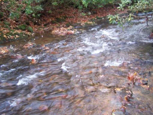 Round Meadow Creek
