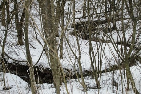 Stream