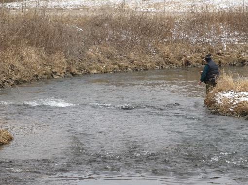 Prime Trout Stream