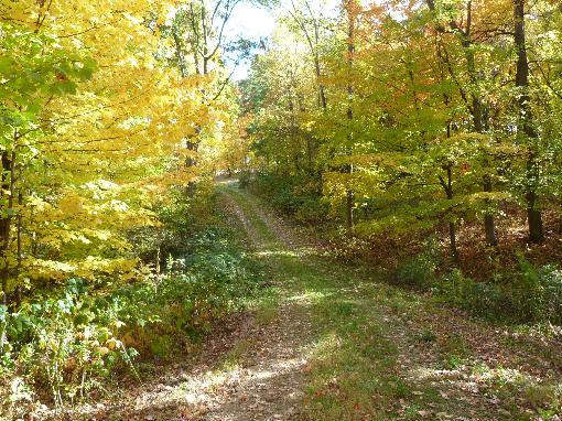 Gravel Driveway