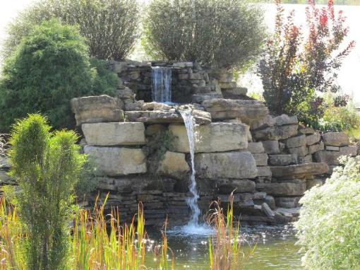 We Build Ponds