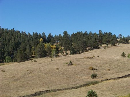 Looking At The Lot In The Distance