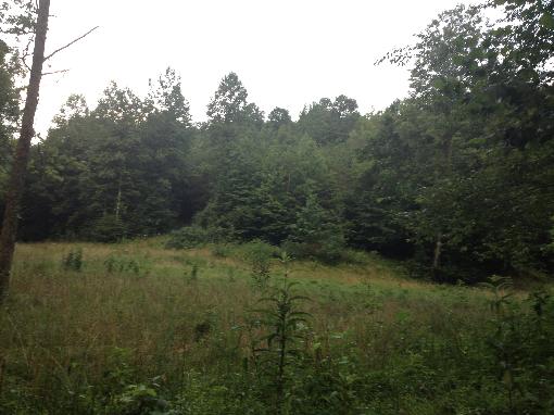 East Tennessee Mountain Land