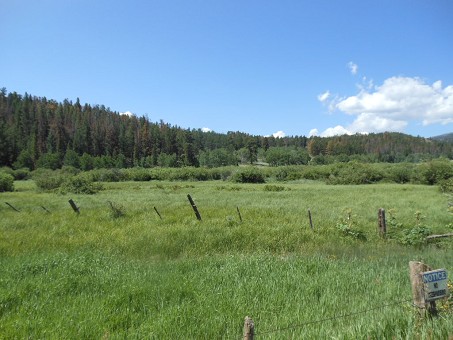Stream Through Property