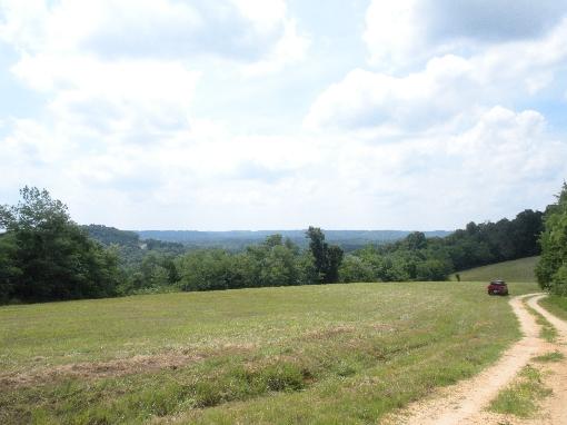 View Across Road