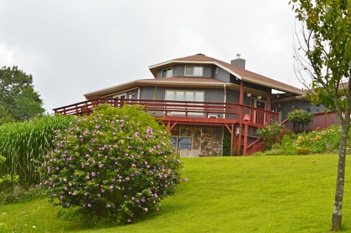 Main View