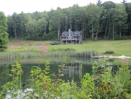 Main View