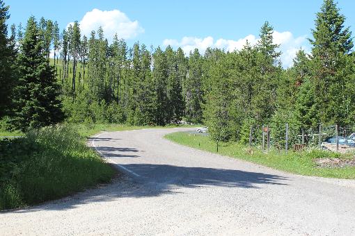 Road Into Parcel