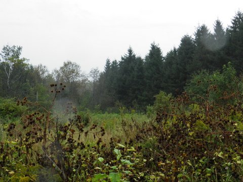 Land/lot