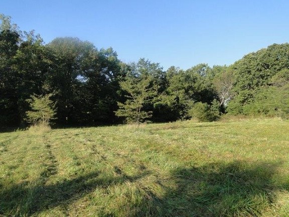 Pasture Scene