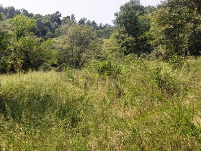 Land