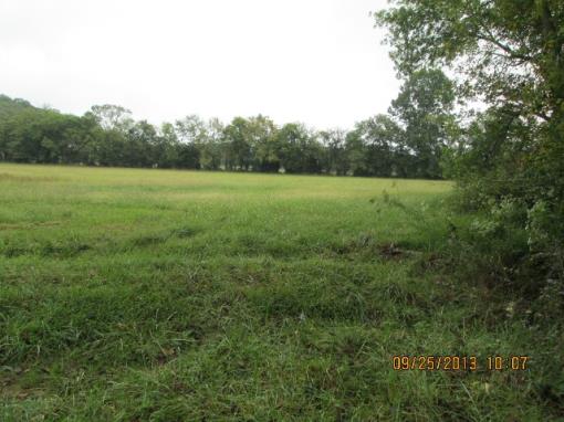 82 Acres Of Level To Rolling Land!
