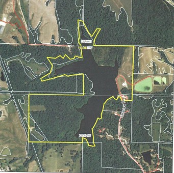 118 +/- Acres Aerial