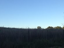 Acreage