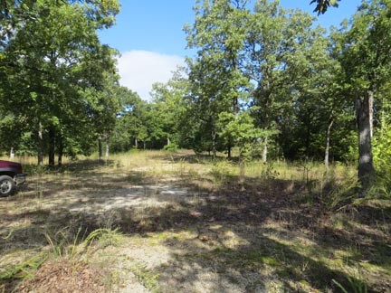 Future Homesite