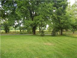 Primo Level Land In Leipers Fork/franklin, Tn!!