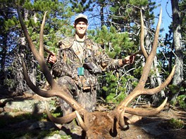 Bull Elk From Colorado Outfitting Business