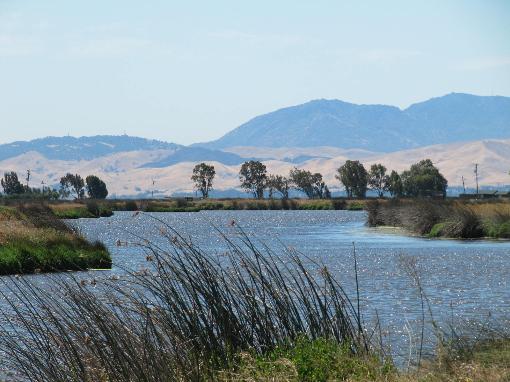 Hunting Area