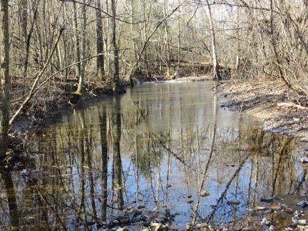 Creek On Property
